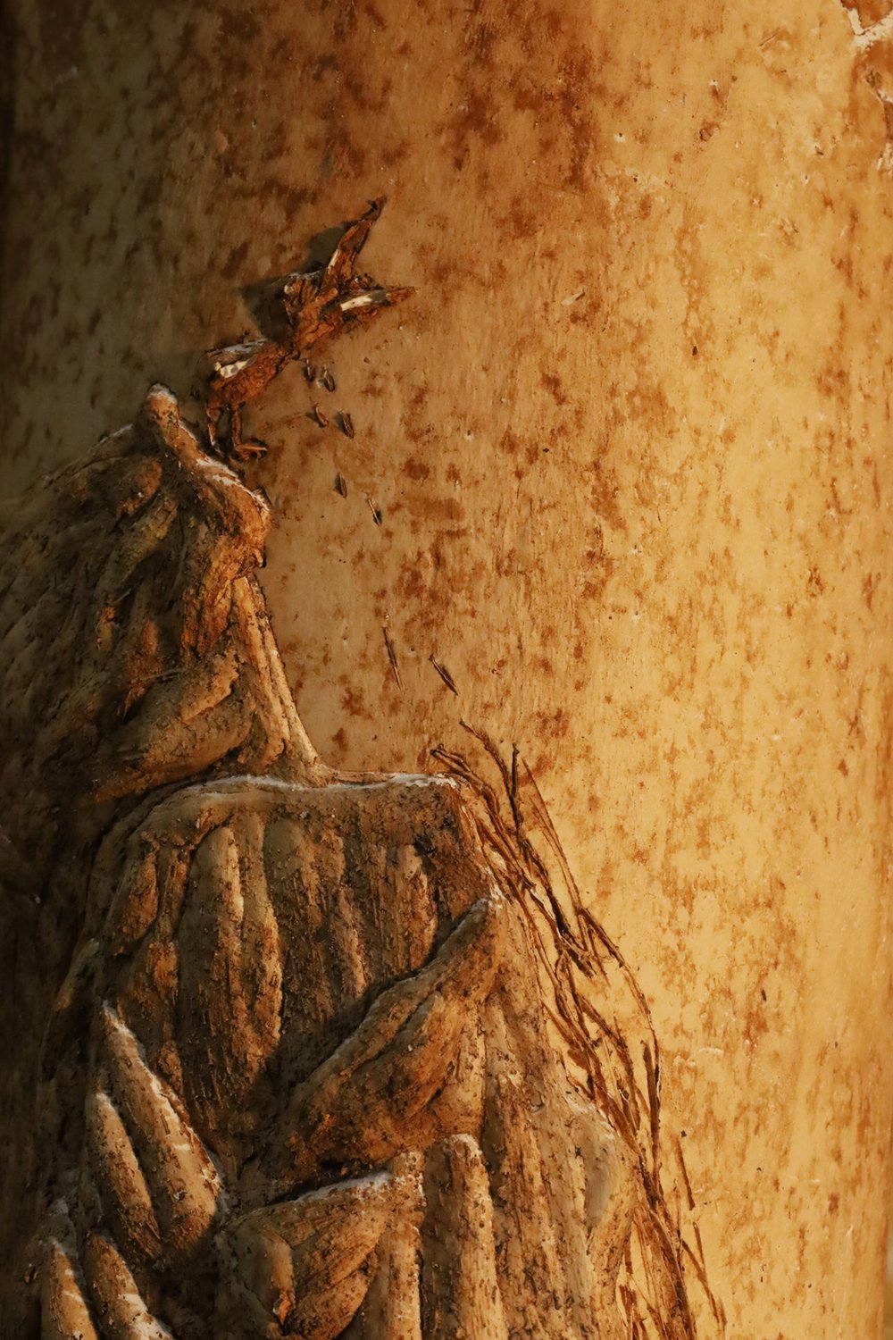 La révélation de mes ruïnes