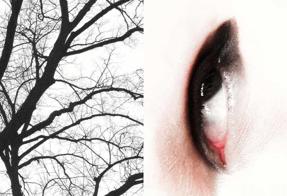 Nothing Lasts Forever