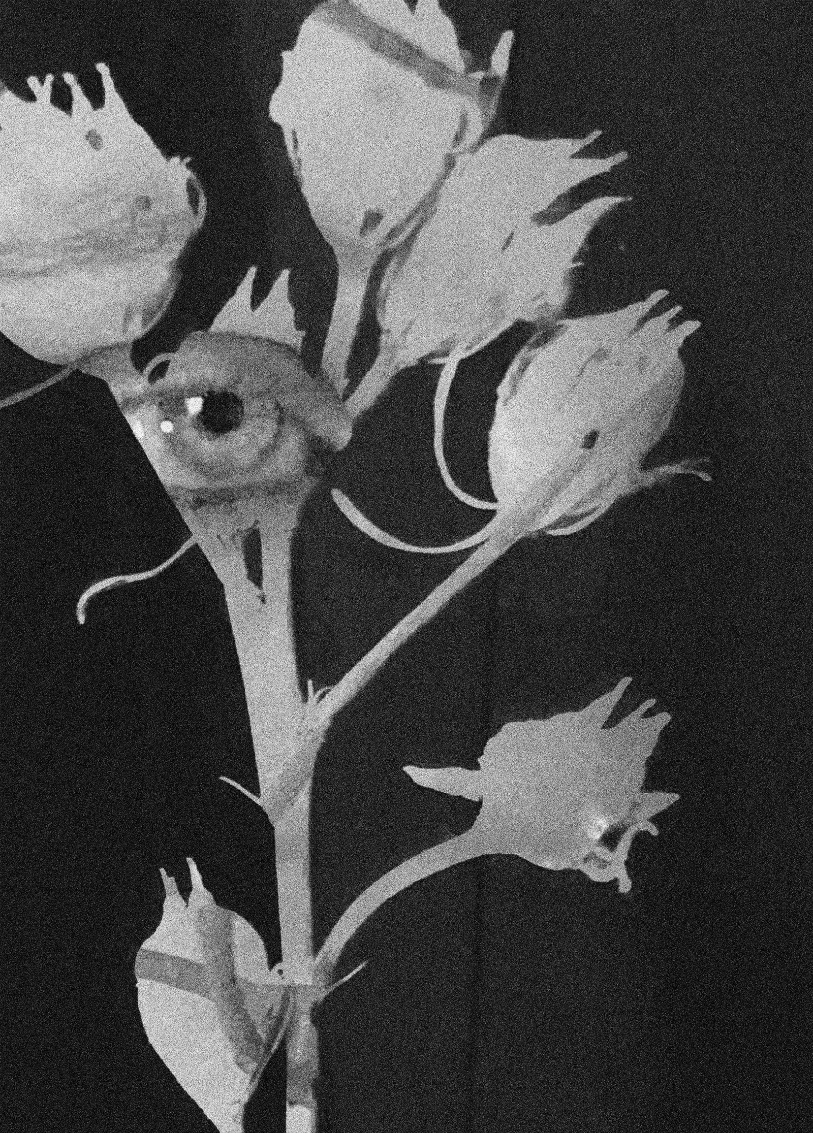 Nothing Lasts Forever