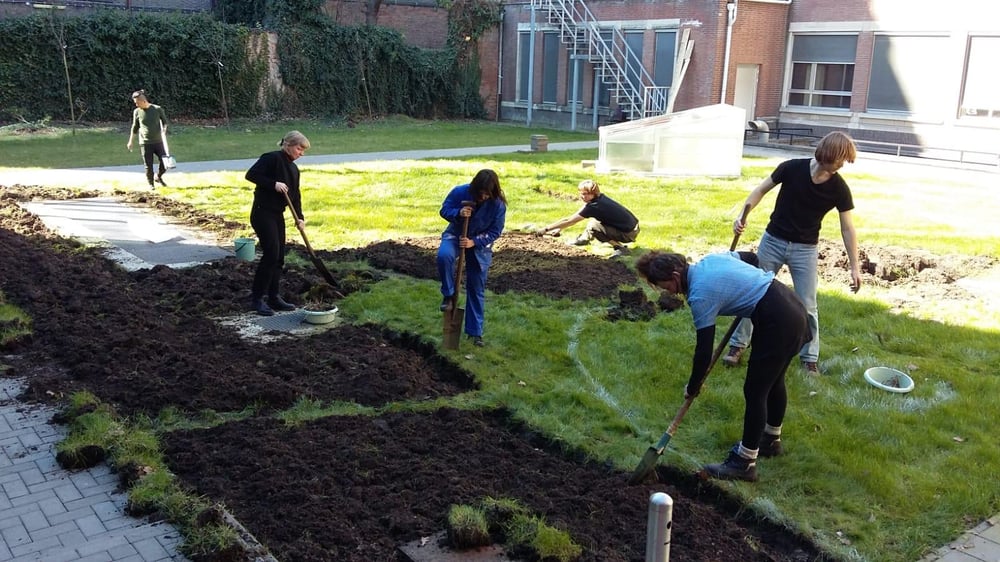 A curation of living stories