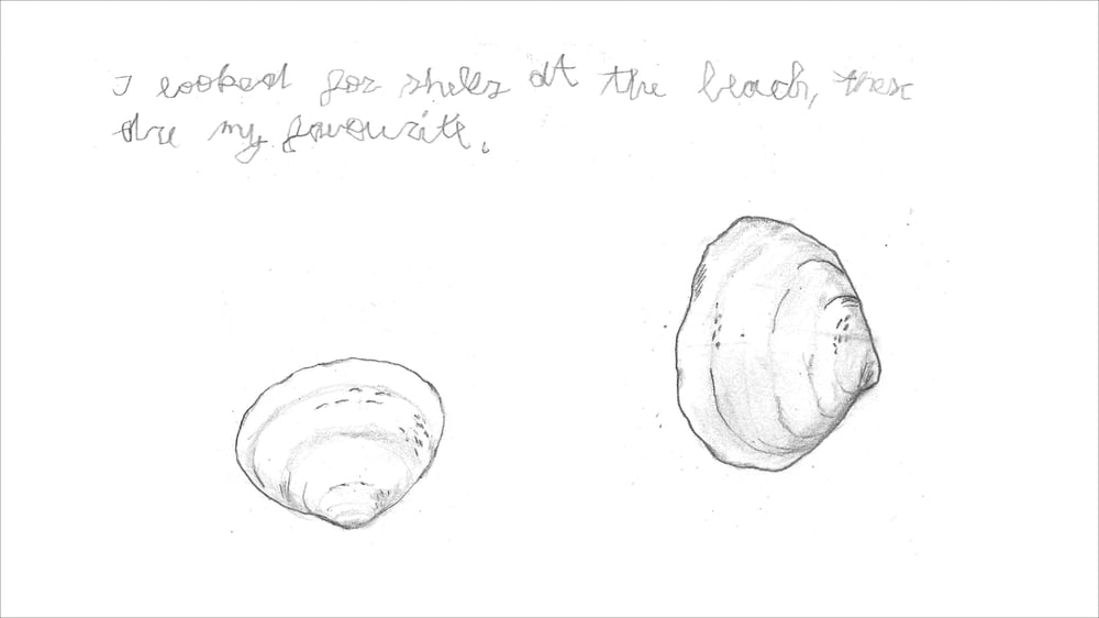 My home is a sparrow