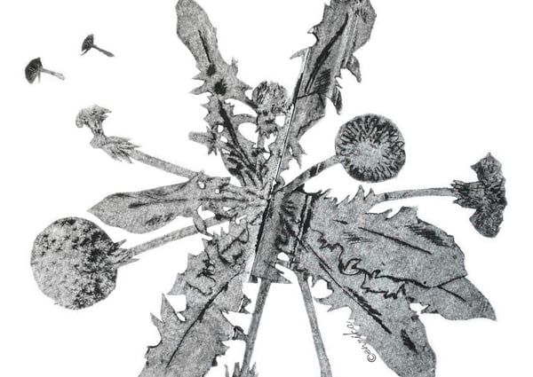 Wortels in Verwondering