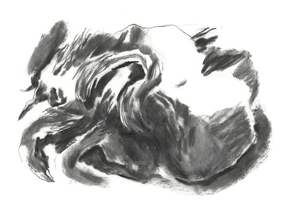 Cryoforms