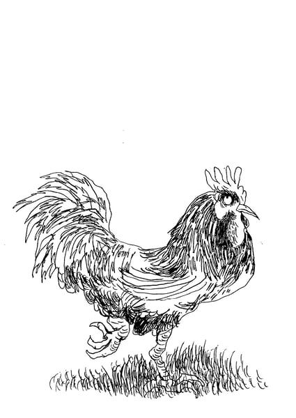 Animal Farm