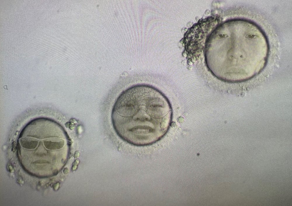 Self-portrait: Single Cell Dream