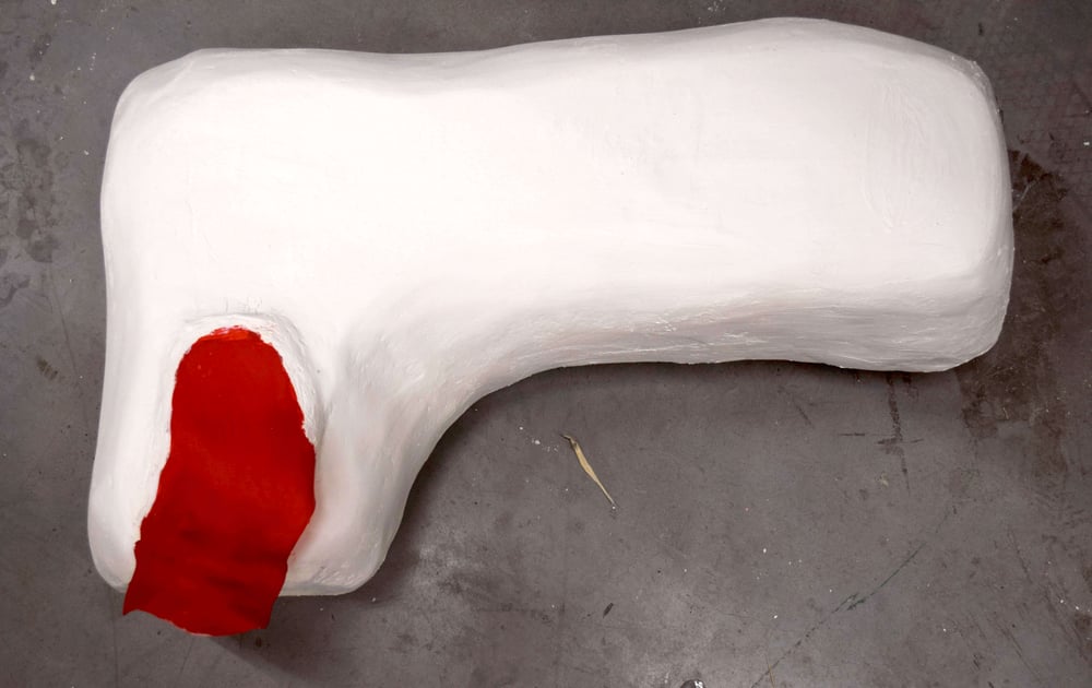 Shadows of Critique: The Burden of Public Objectification