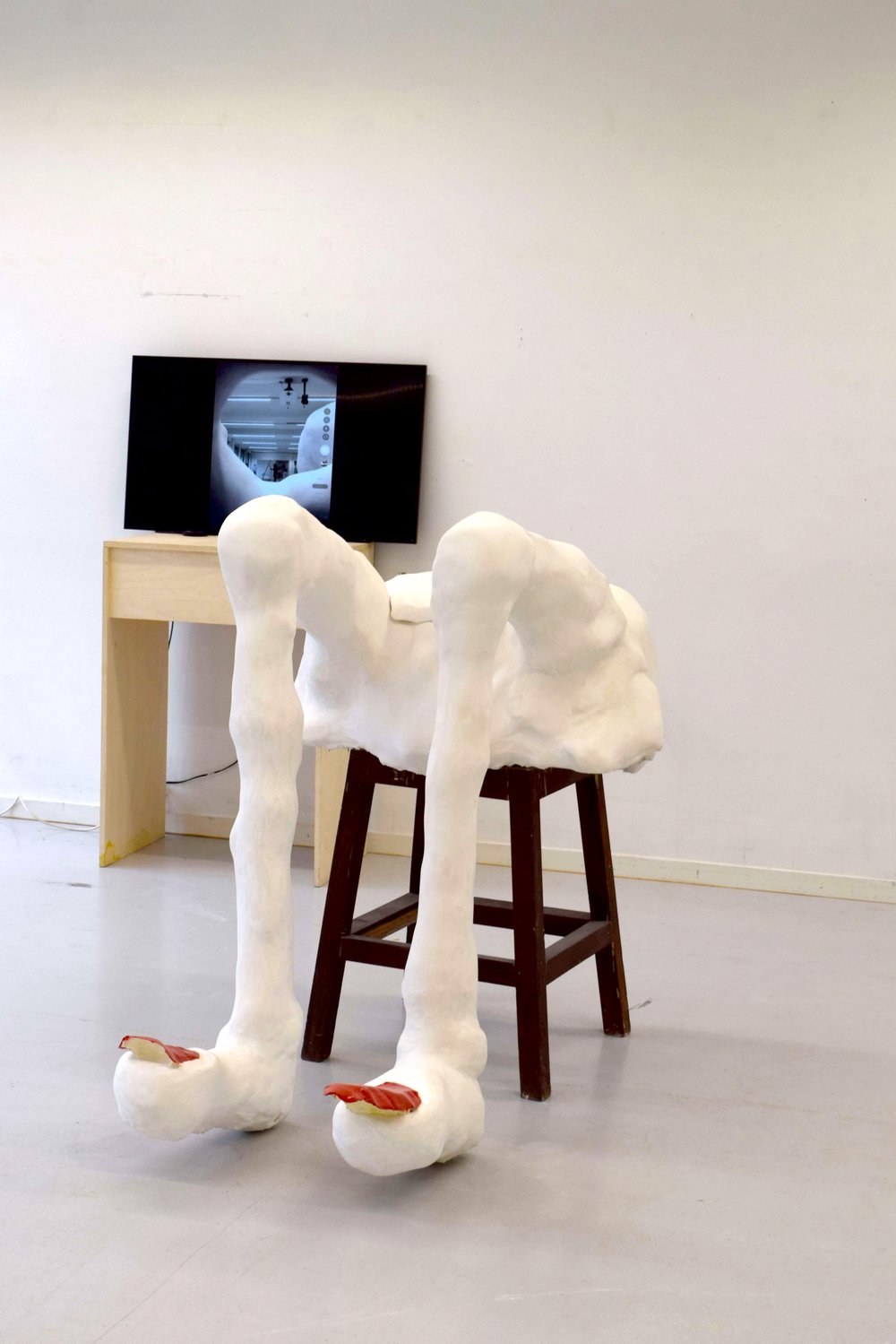 Shadows of Critique: The Burden of Public Objectification