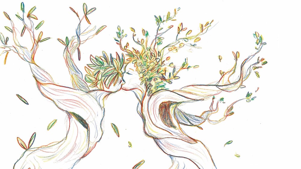 A Handful Of Daydreams