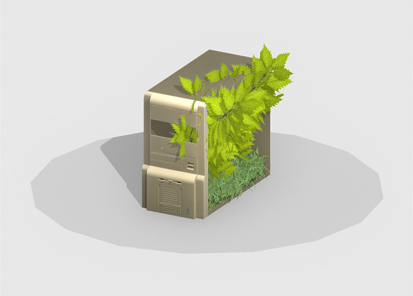 some weeds grew between files, should i water them?