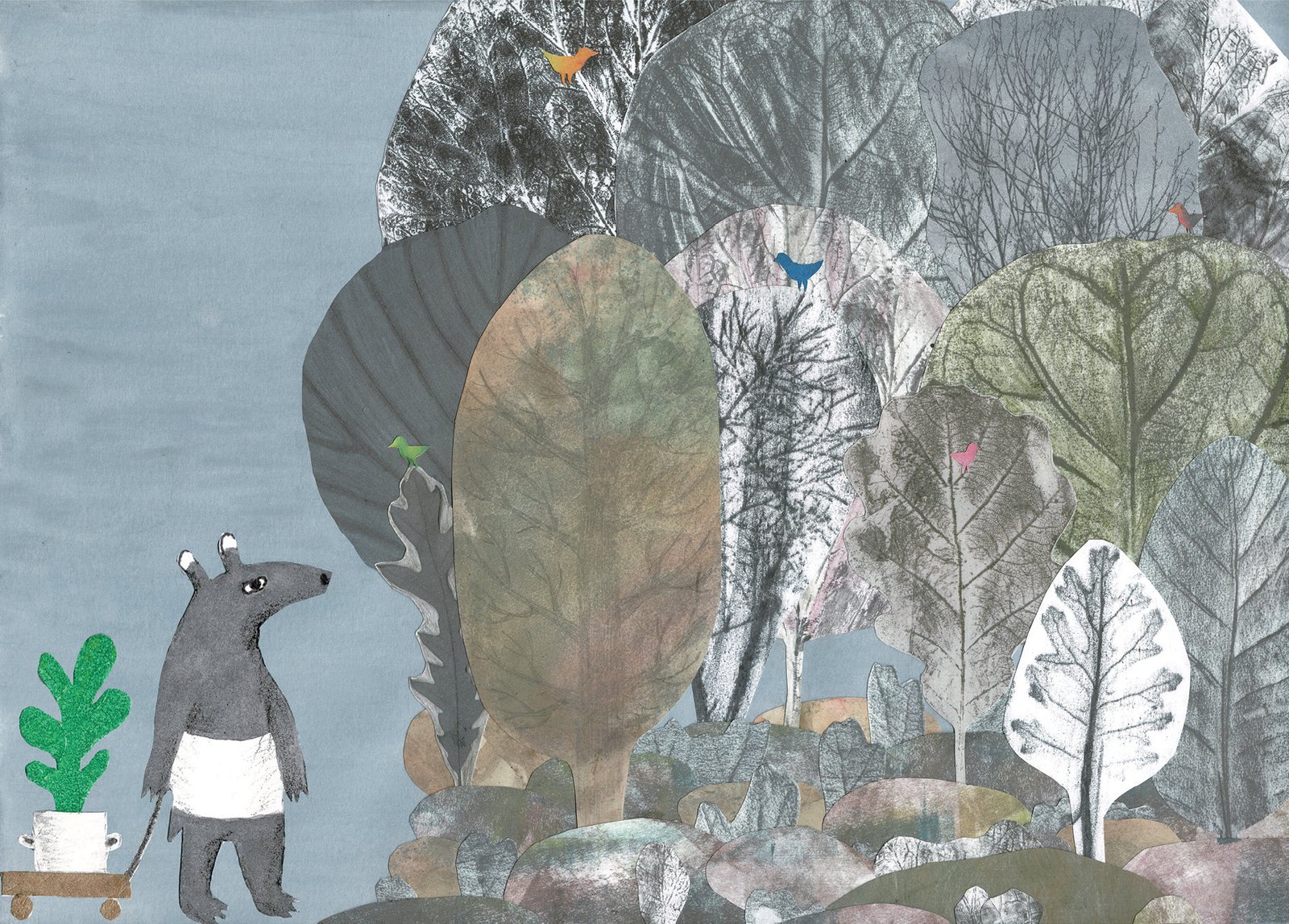 Tapir en Mombin: een prentenboek