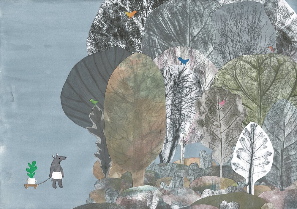 Tapir en Mombin: een prentenboek