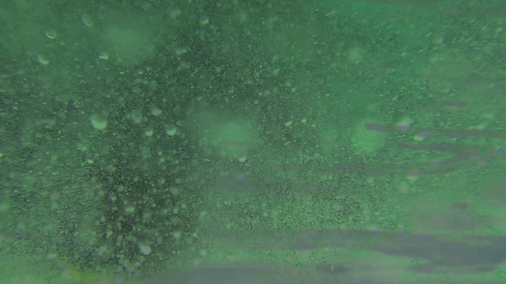 Everything Returns to the Body