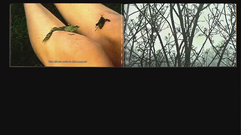 Everything Returns to the Body