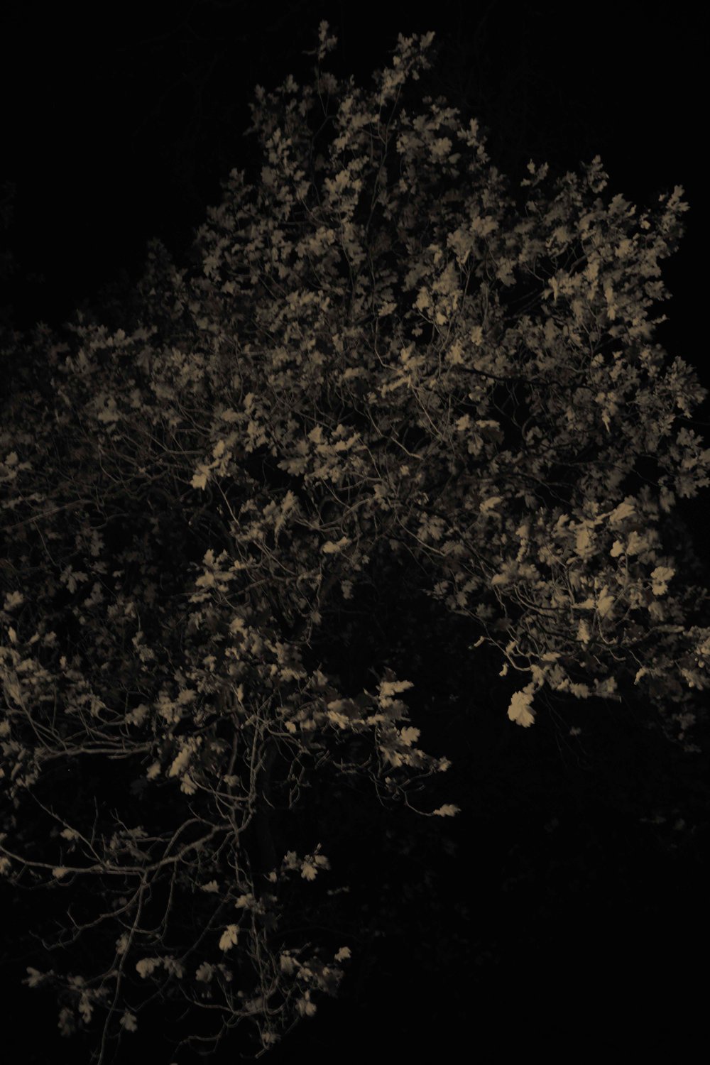 Stay a Little Longer