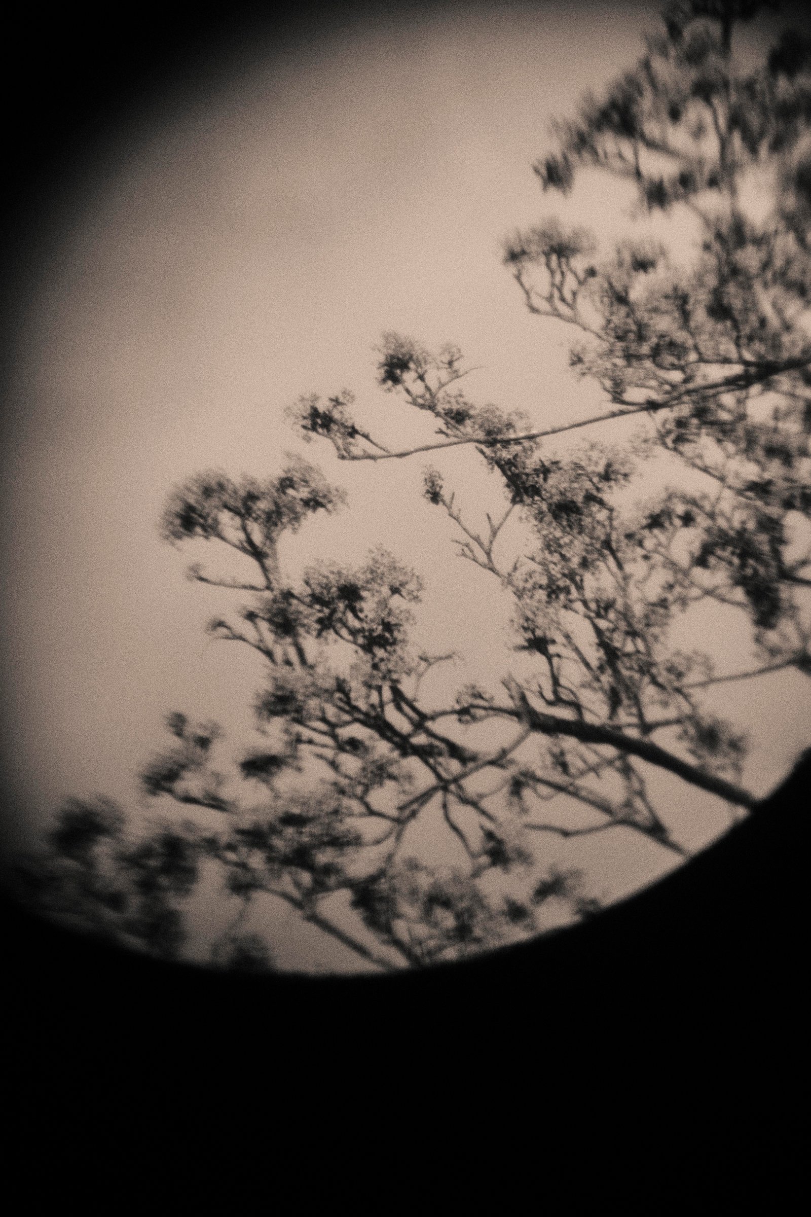 Stay a Little Longer