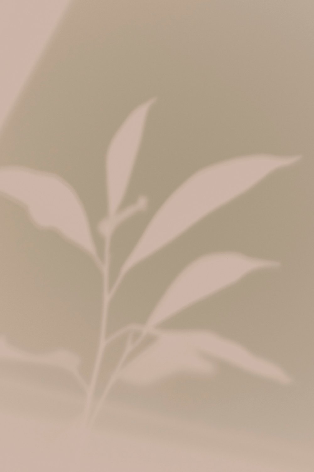 Stay a Little Longer