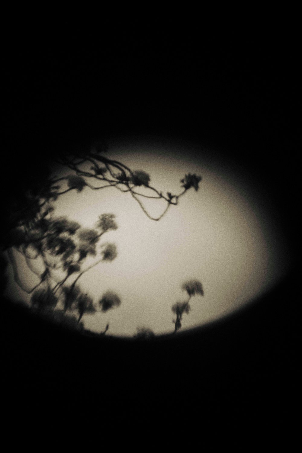 Stay a Little Longer