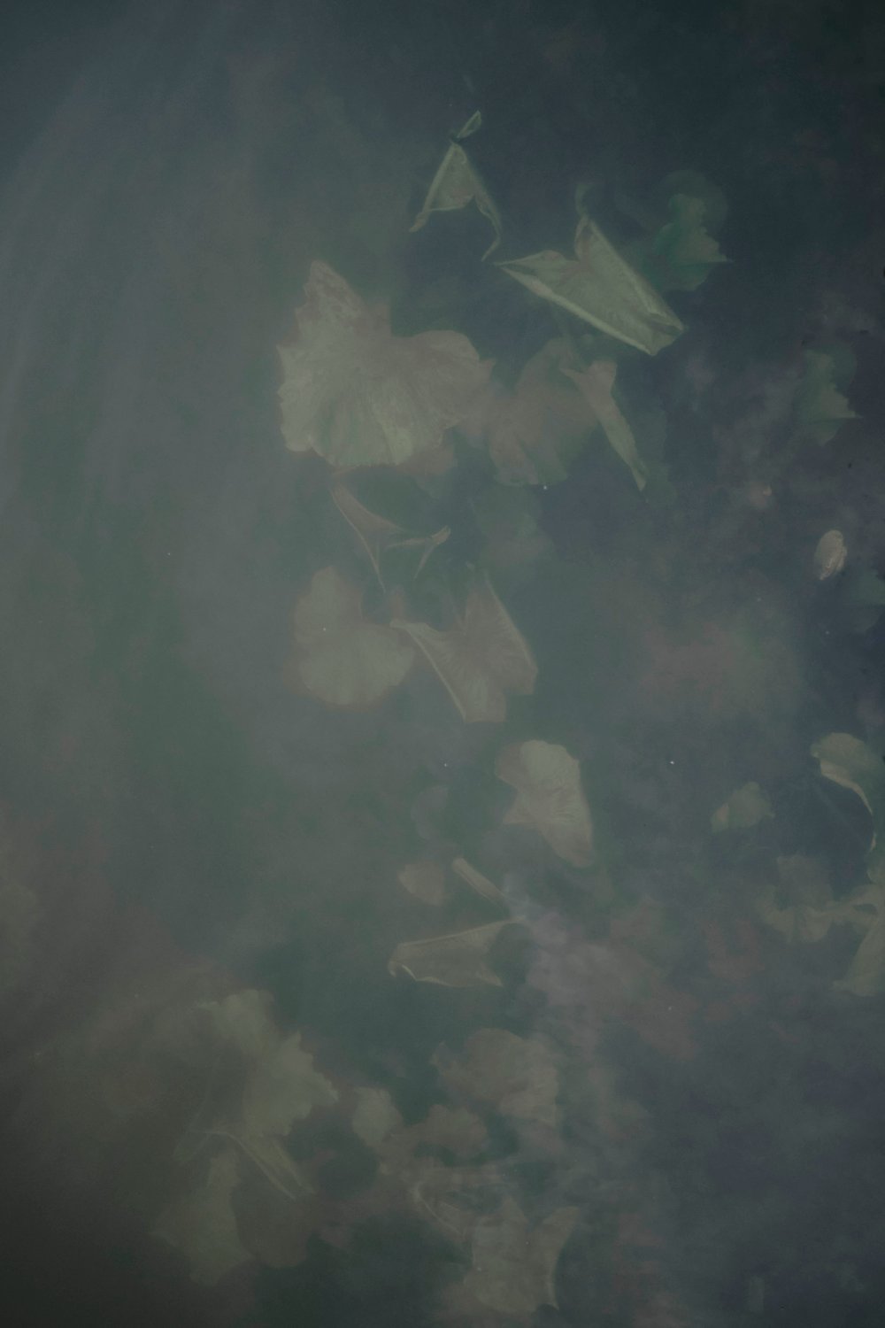 Stay a Little Longer