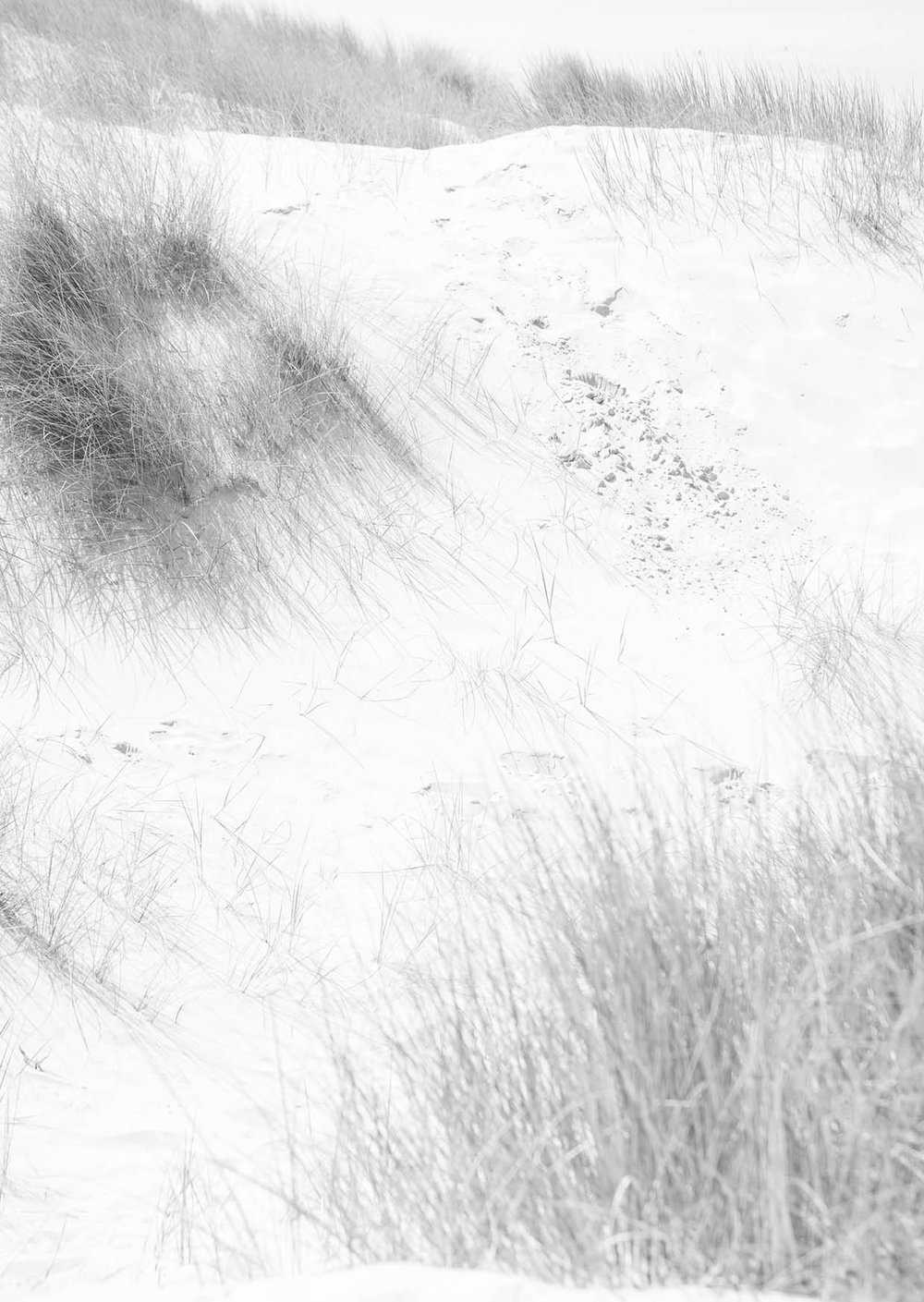 WRAPPING, KNOTTING, TYING: TENDER TENDRILS AROUND SOFT SKIN