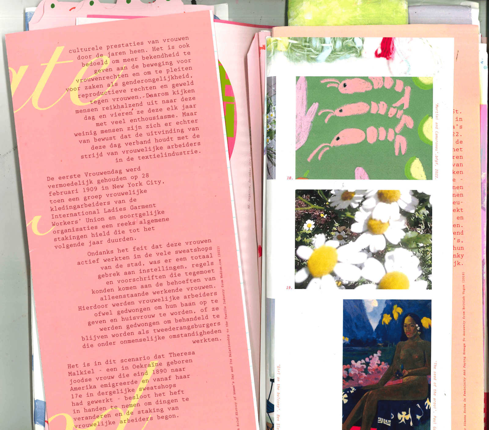 Het Feminine Archief door de ogen van Manou Raeves