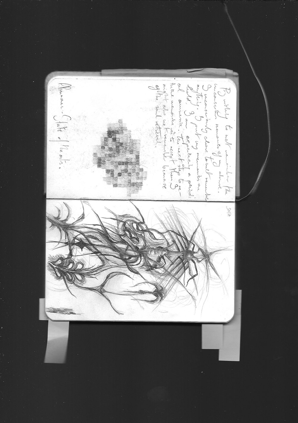 Insignia of Age and Decay