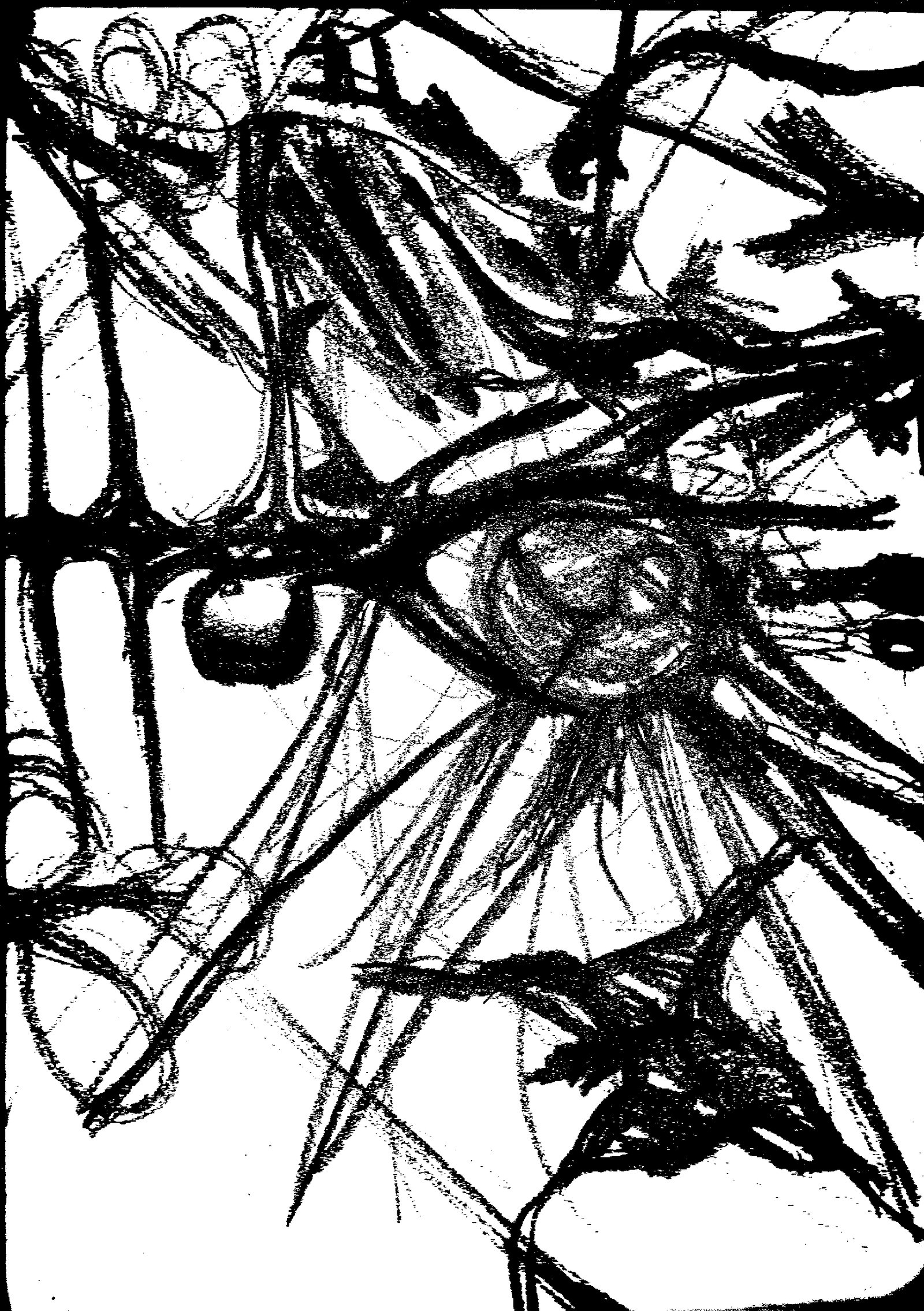 Insignia of Age and Decay