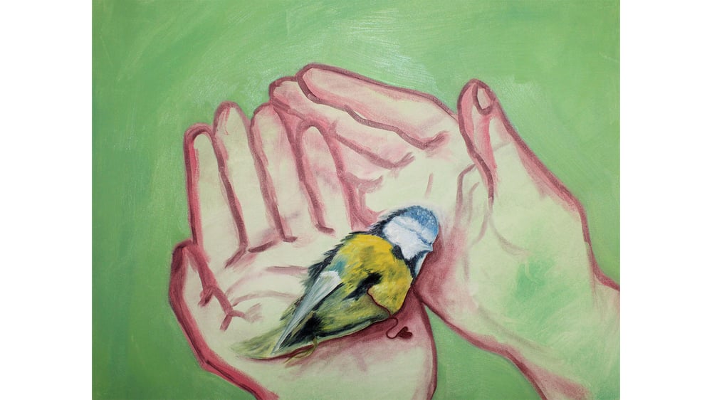 They can talk, we just have to listen