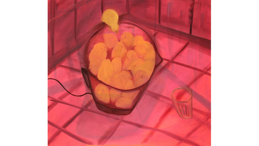 They can talk, we just have to listen