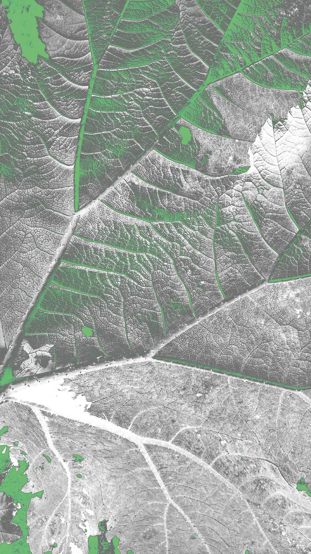 Rooting for Regrowth