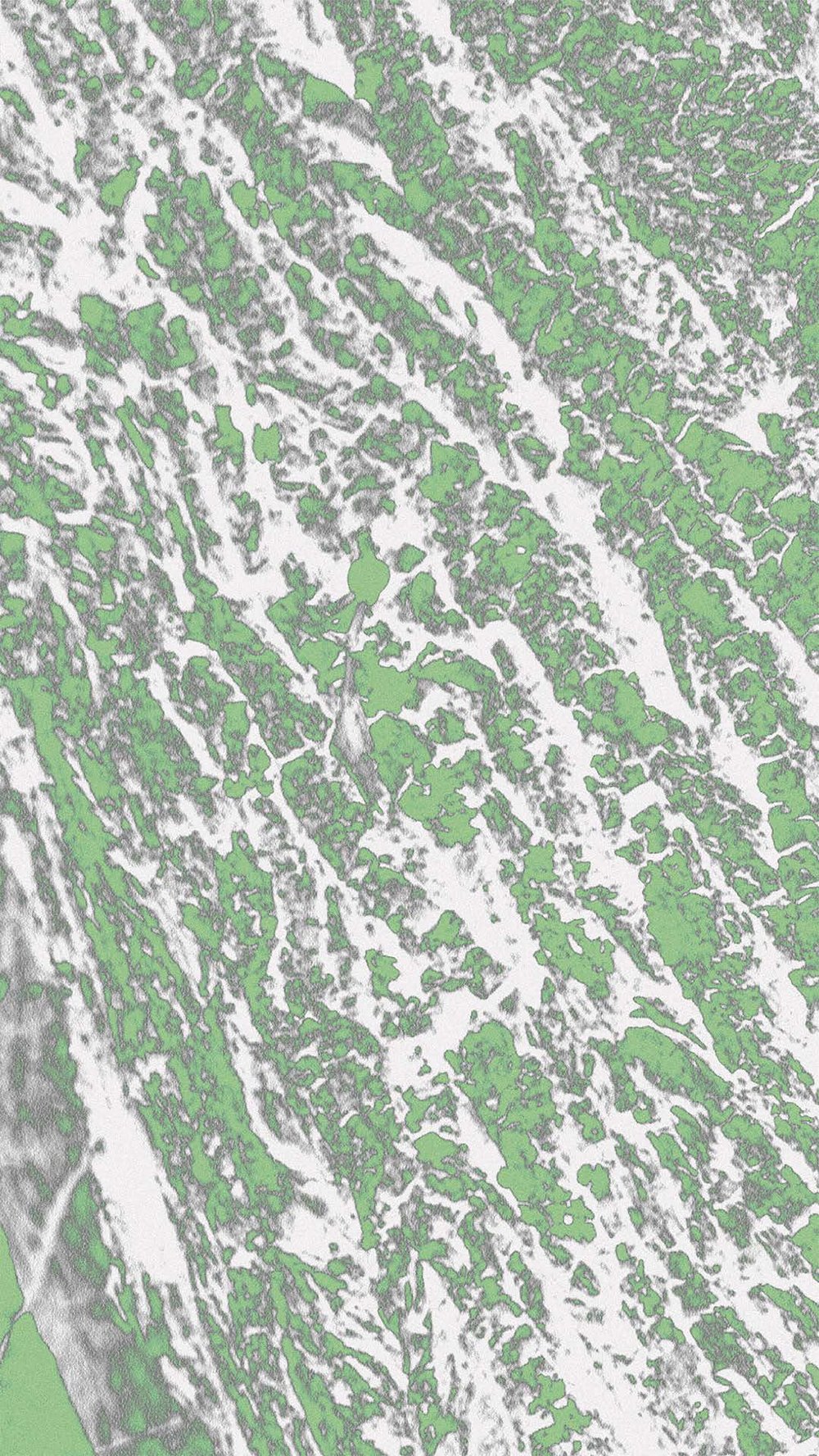 Rooting for Regrowth