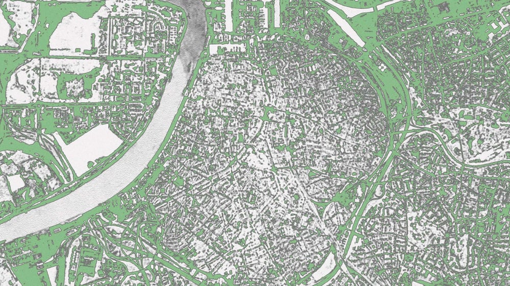 Rooting for Regrowth