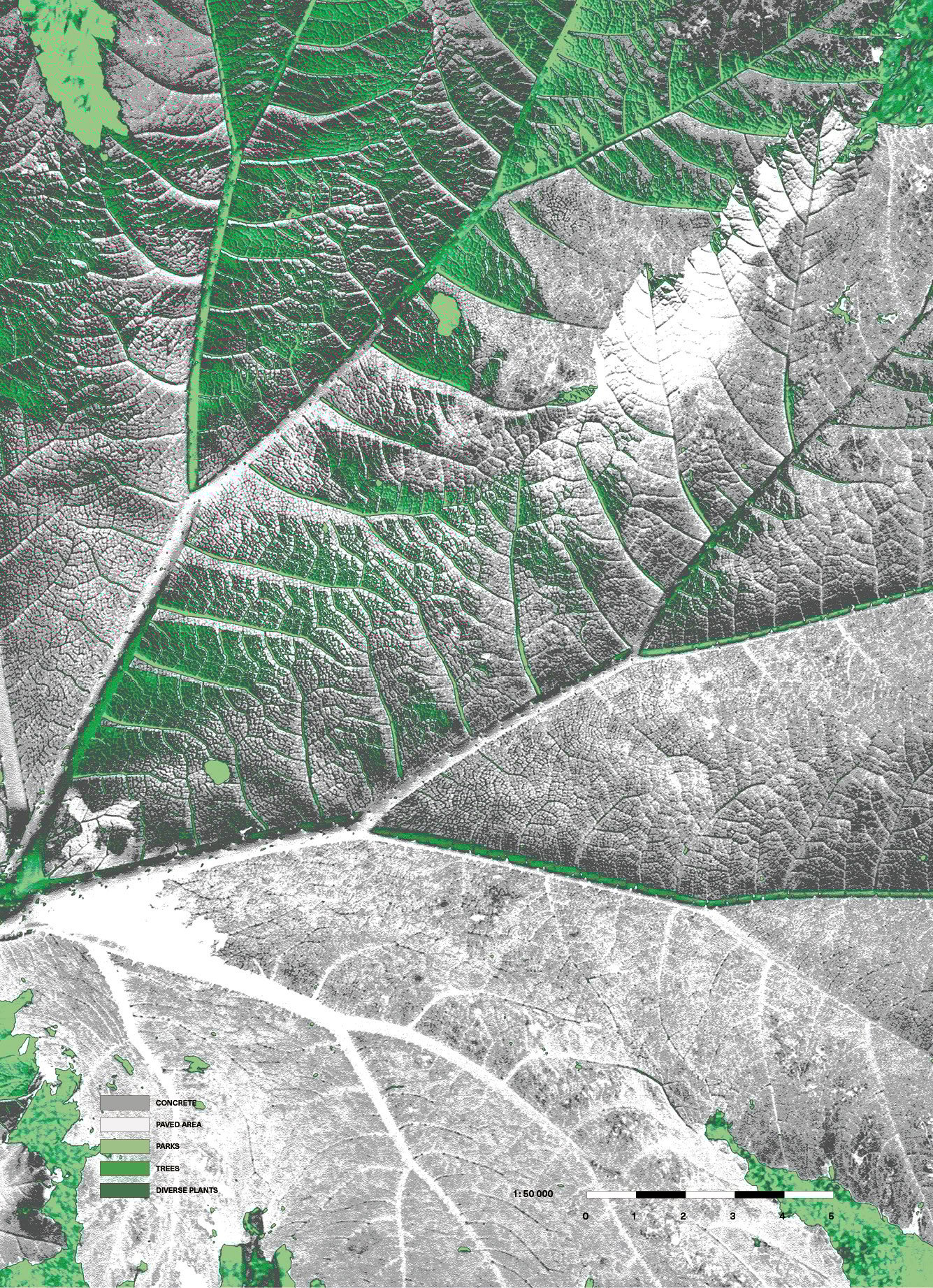 Rooting for Regrowth