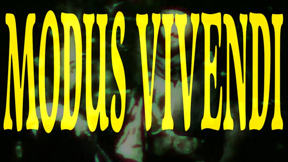 HAJDUK: Against the Midnight Sultan