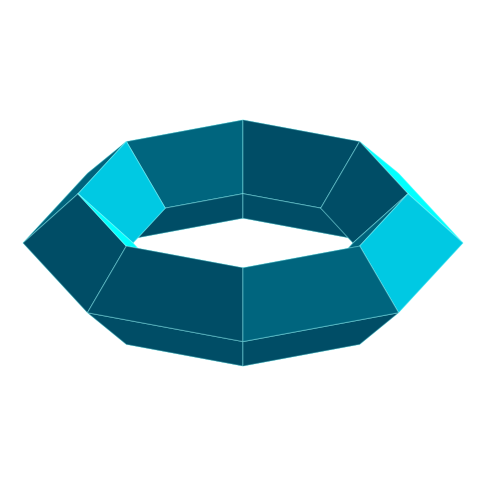 toroidal_polyhedron.png