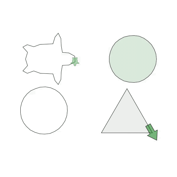 turtle_demo.gif