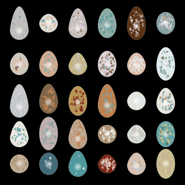 eggs.png