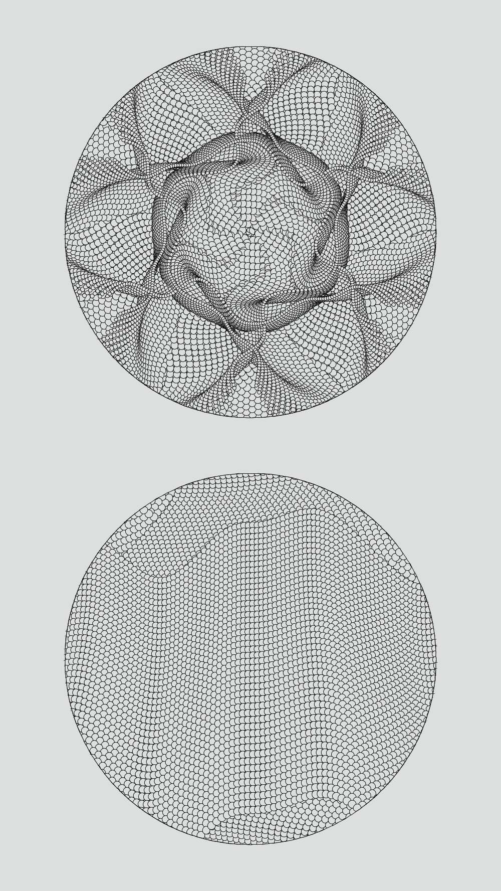 shells_1_1.1.1.jpg