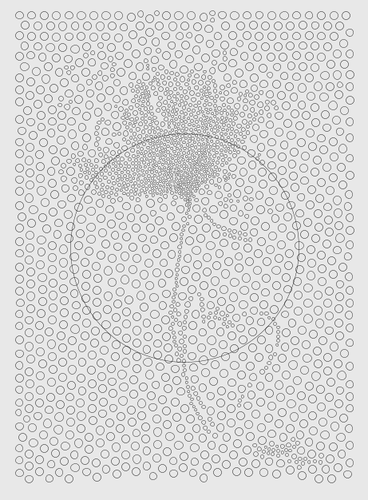 CirclePacking-Problem.png