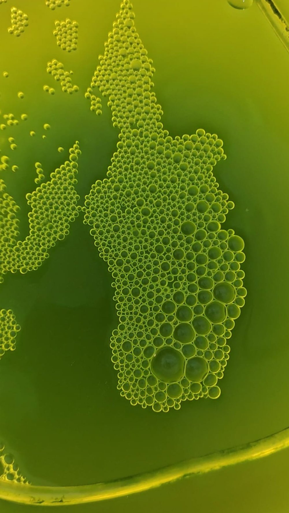 I move because, They do.'