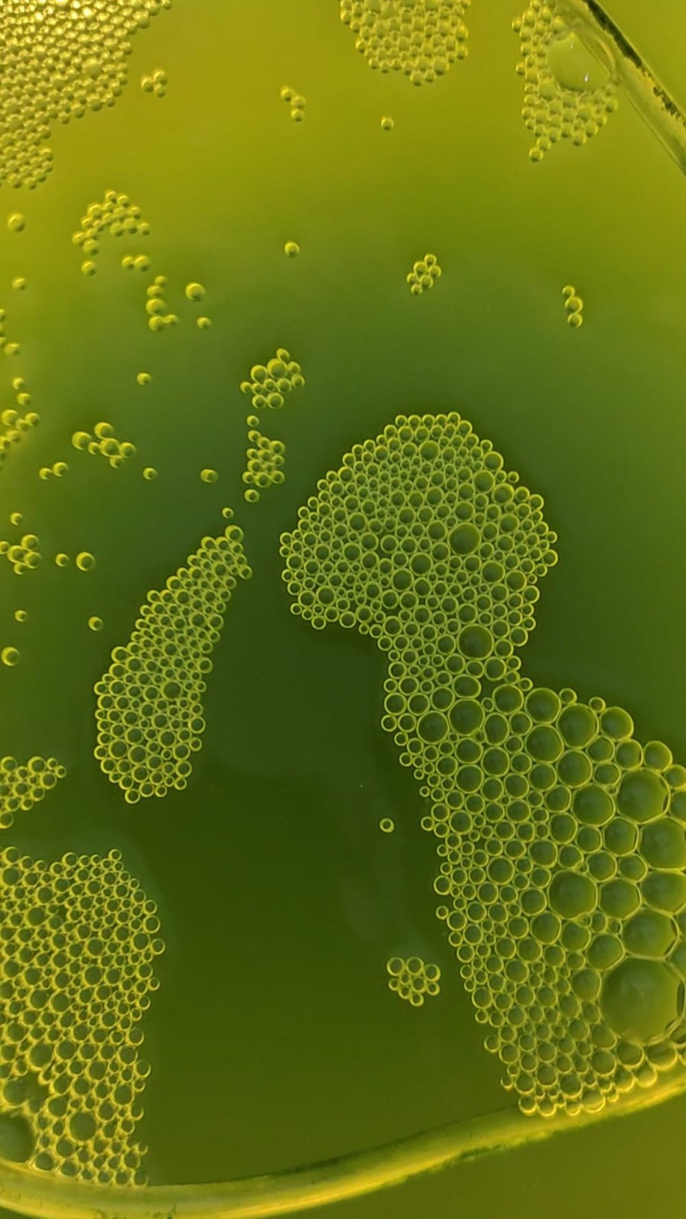 I move because, They do.'