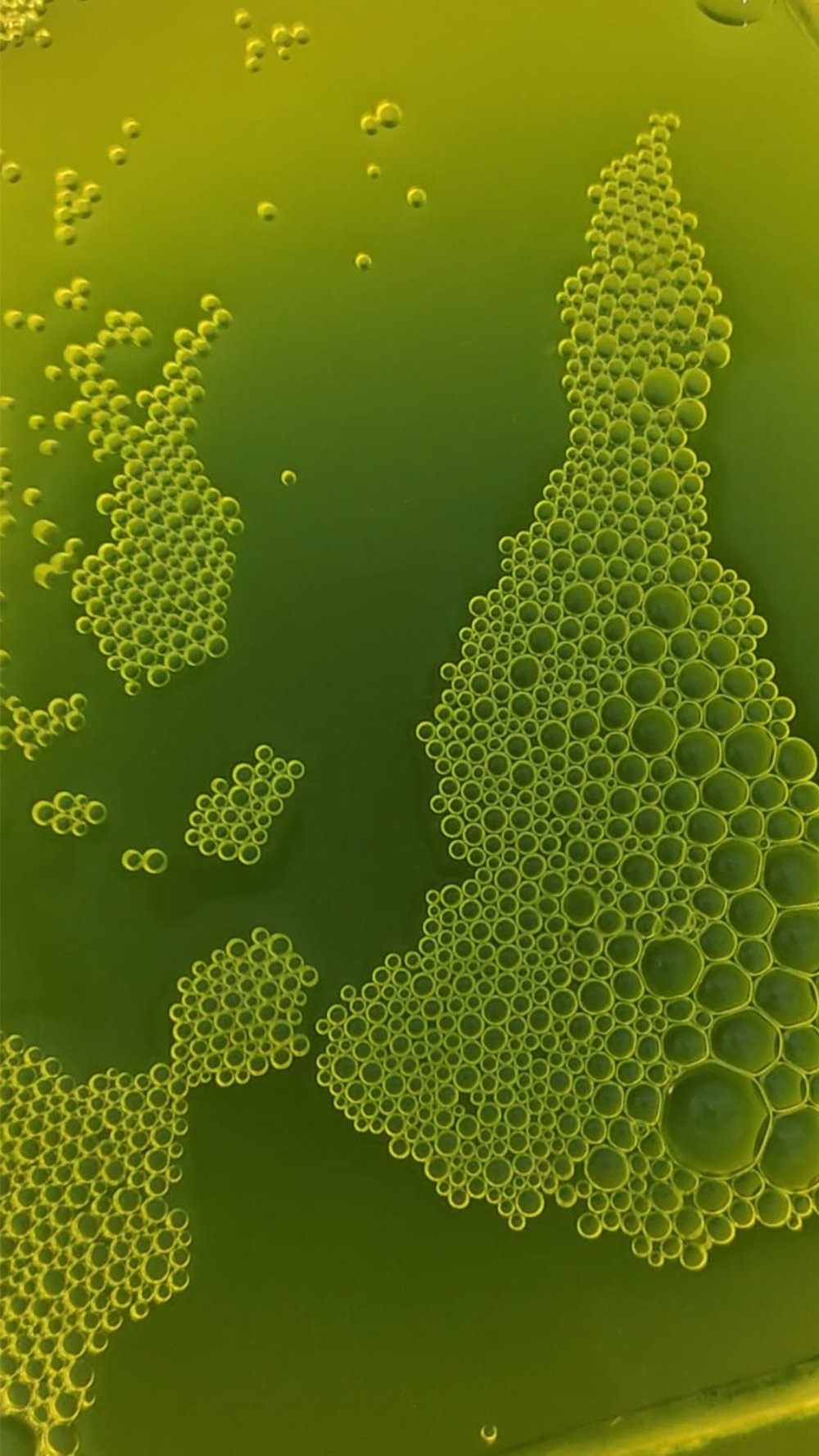 I move because, They do.'