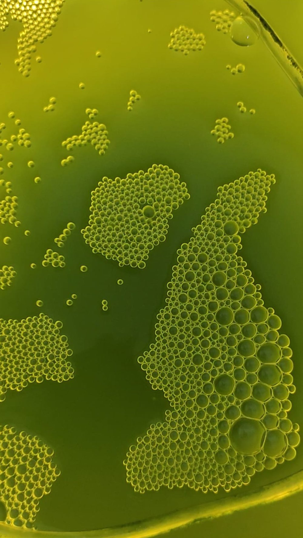 I move because, They do.'