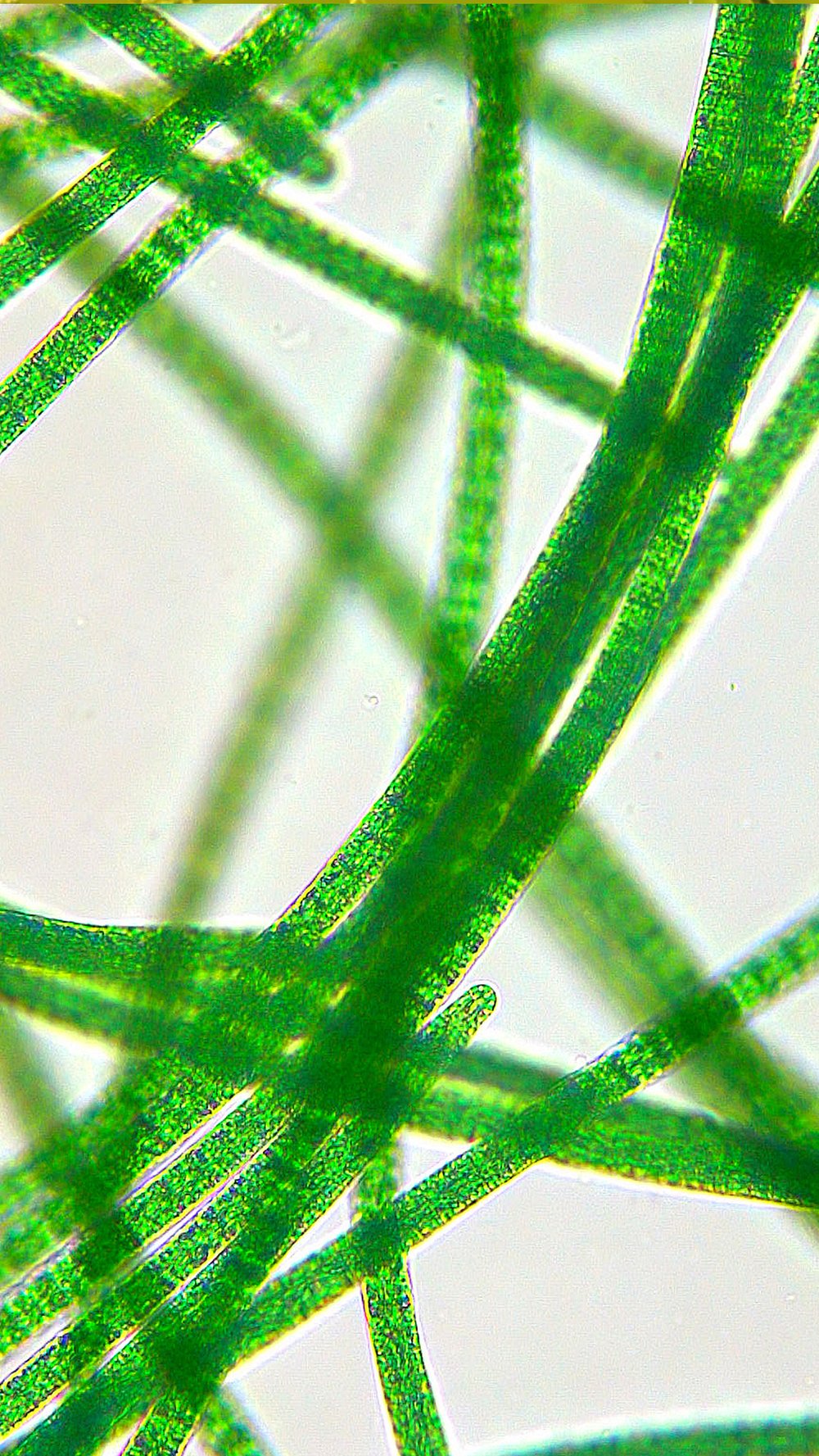 I move because, They do.'