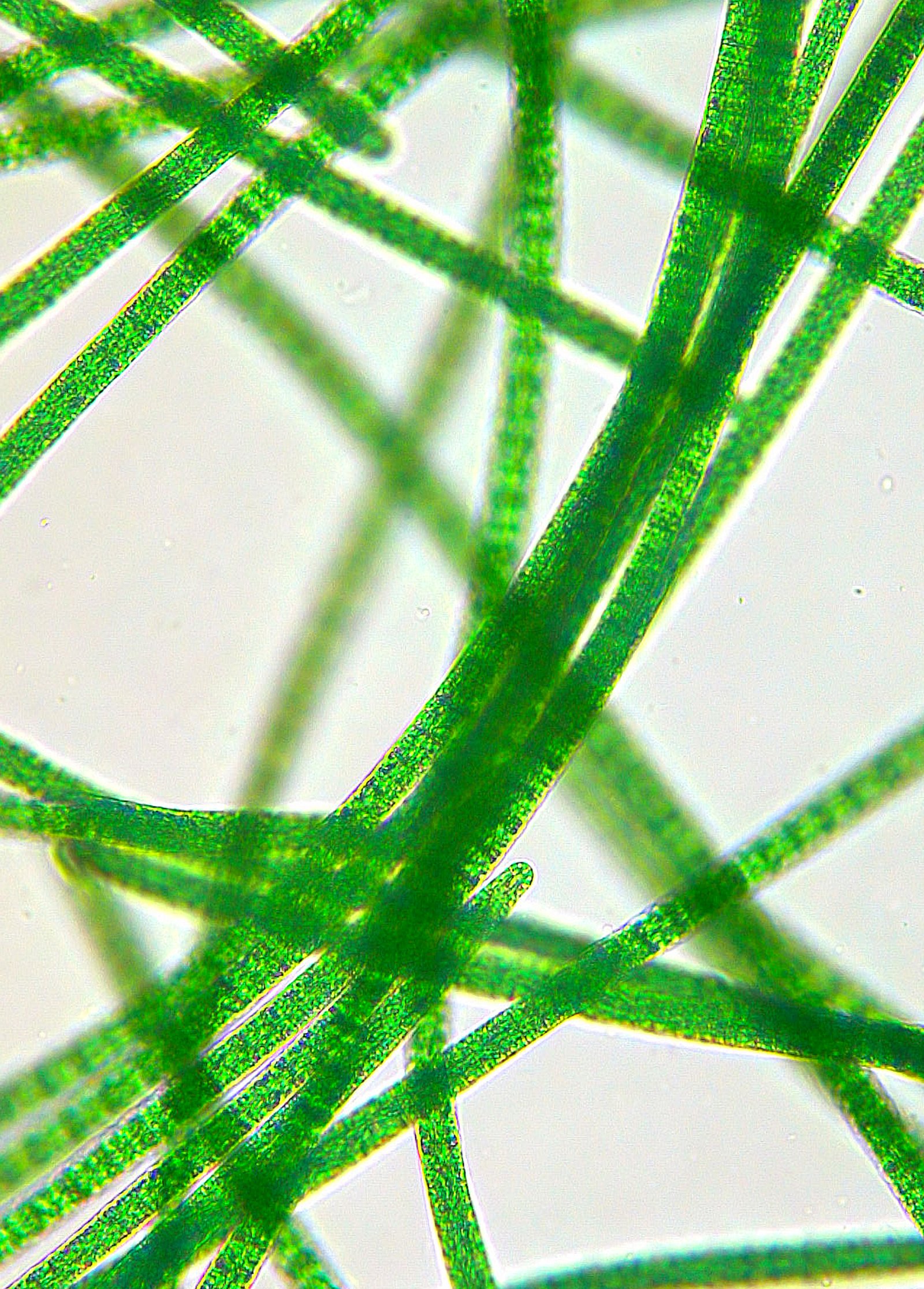 I move because, They do.'