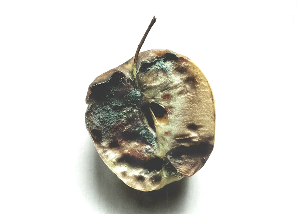 Intimide