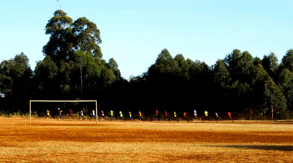 Our Forest, Our Champions