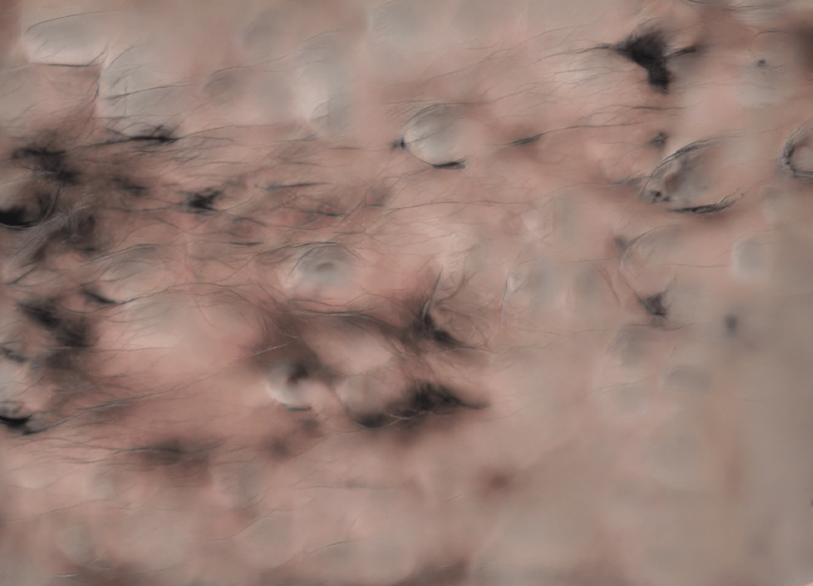 Machine Dreams