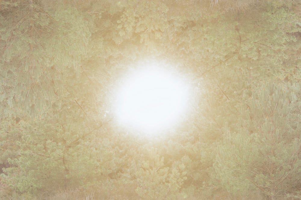 Inert