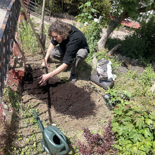 Dimitri van den Wittenboer