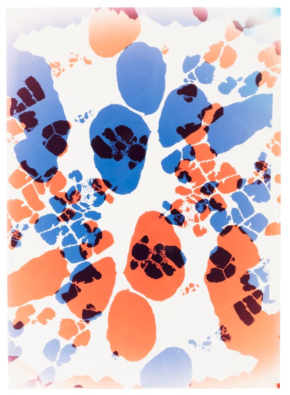 Focus Program: Rights of Nature